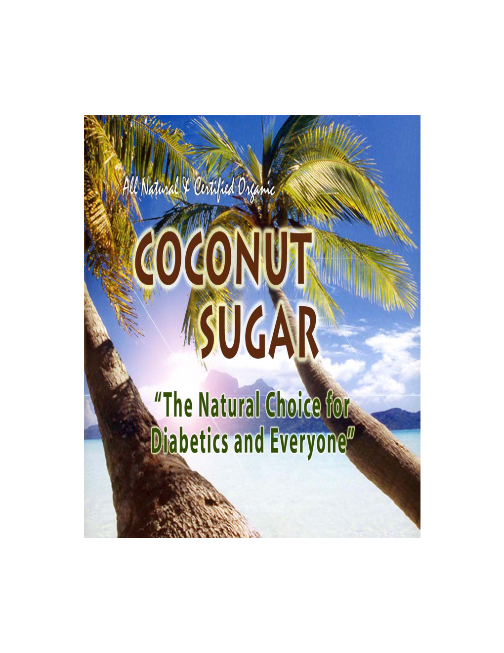 1. Coconut Sugar