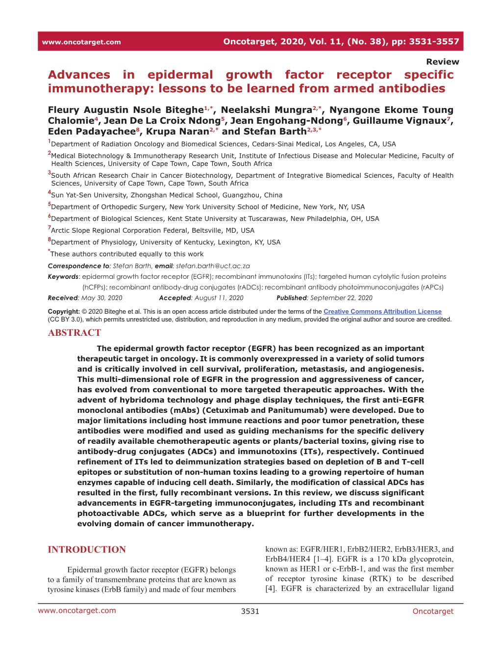 Advances in Epidermal Growth Factor Receptor Specific Immunotherapy: Lessons to Be Learned from Armed Antibodies