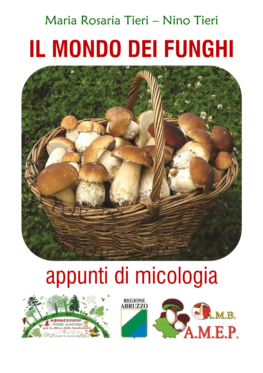 IL MONDO DEI FUNGHI Appunti Di Micologia