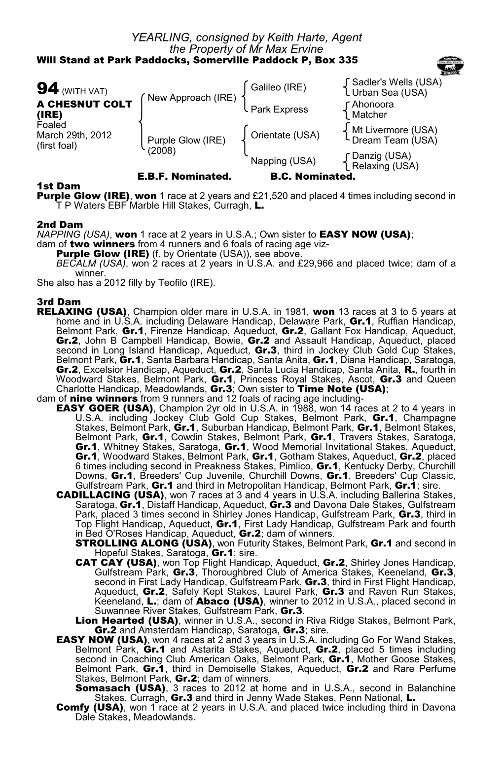 YEARLING, Consigned by Keith Harte, Agent the Property of Mr Max Ervine Will Stand at Park Paddocks, Somerville Paddock P, Box 335