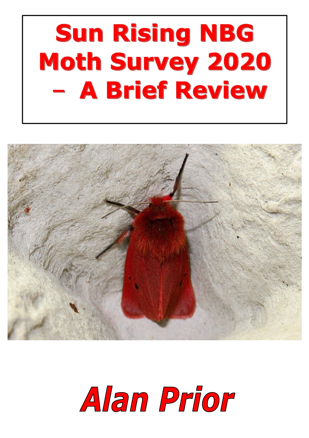 Moth Surveys 2020