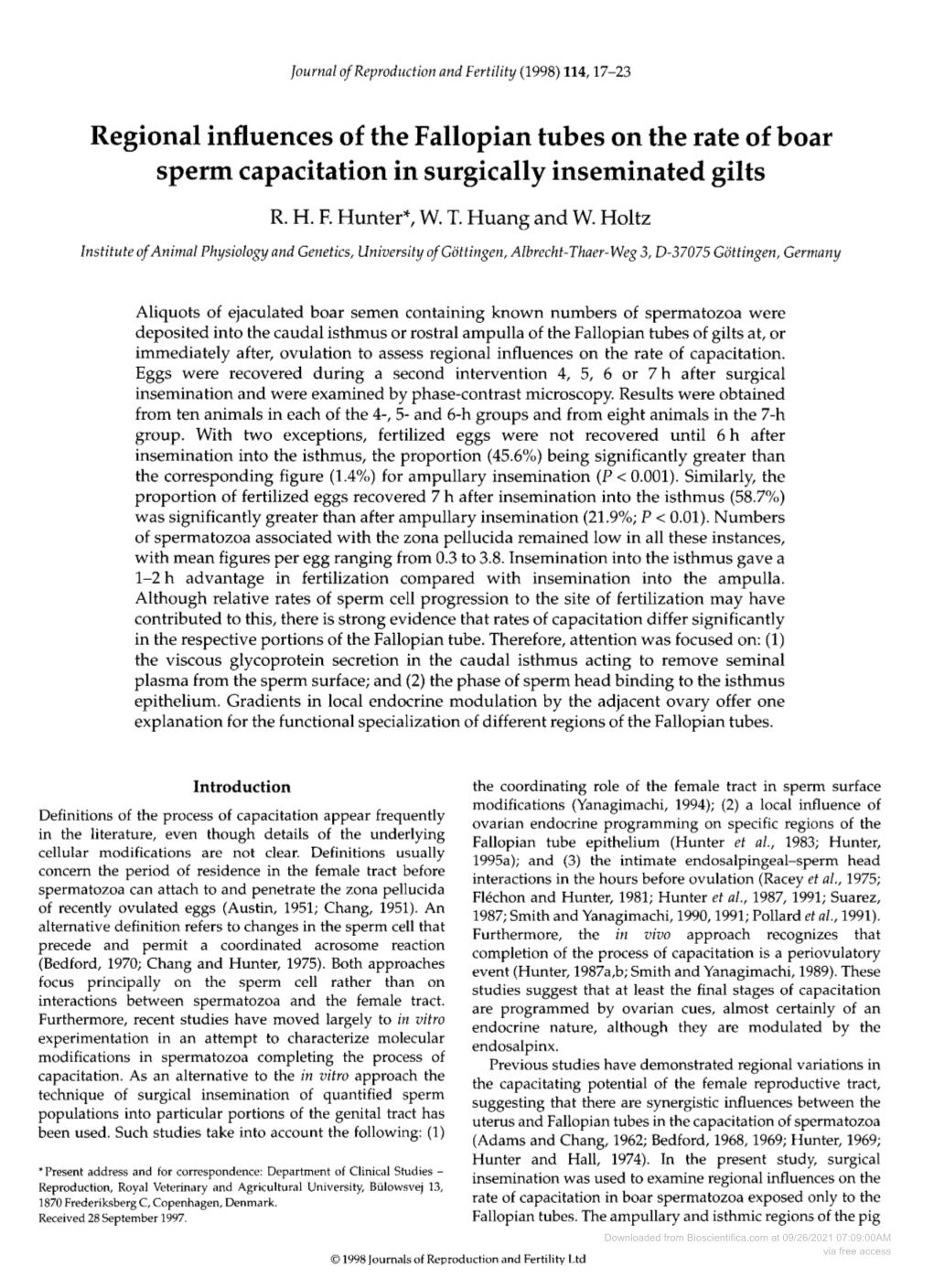 Sperm Capacitation in Surgicallyinseminated Gilts