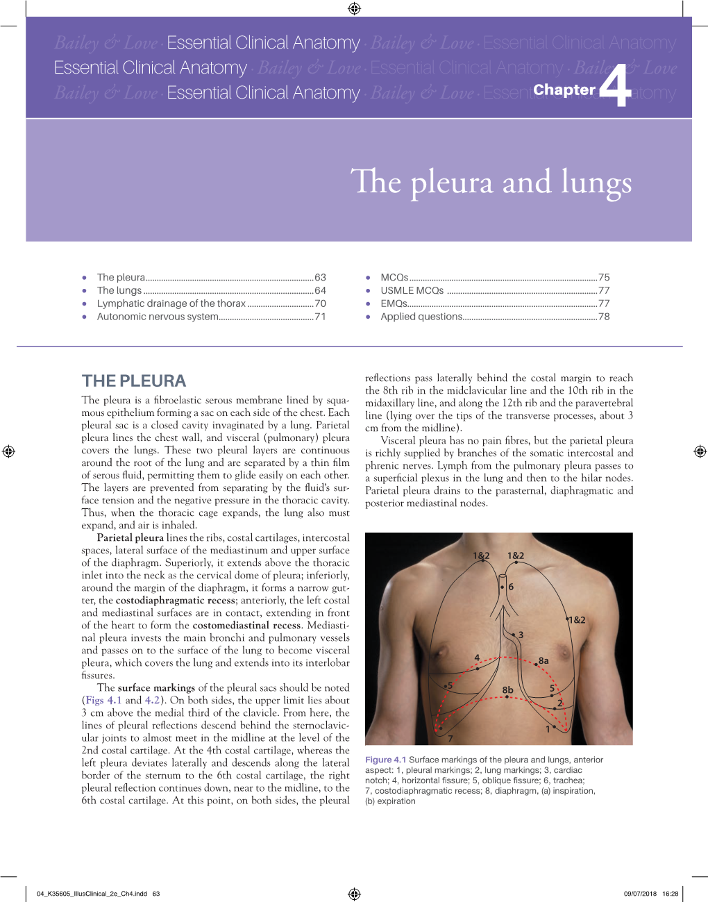 E Pleura and Lungs