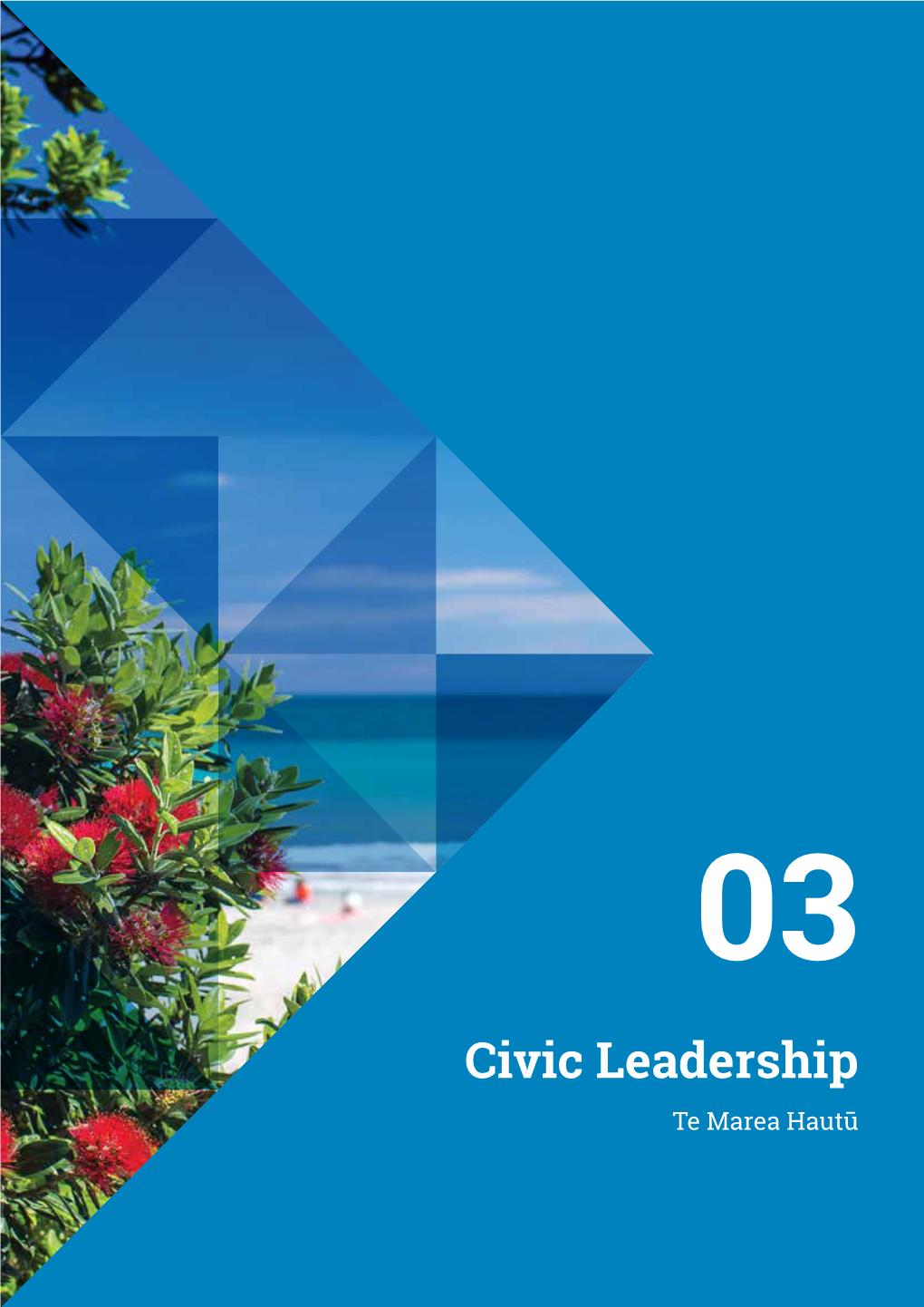 Civic Leadership Te Marea Hautū