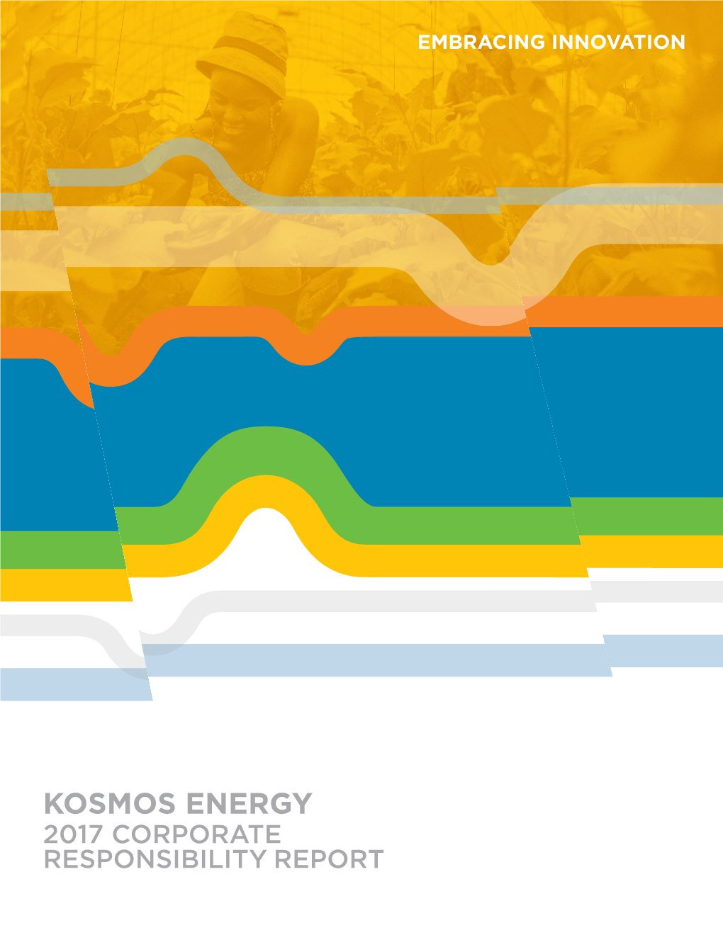 2017 Corporate Responsibility Report