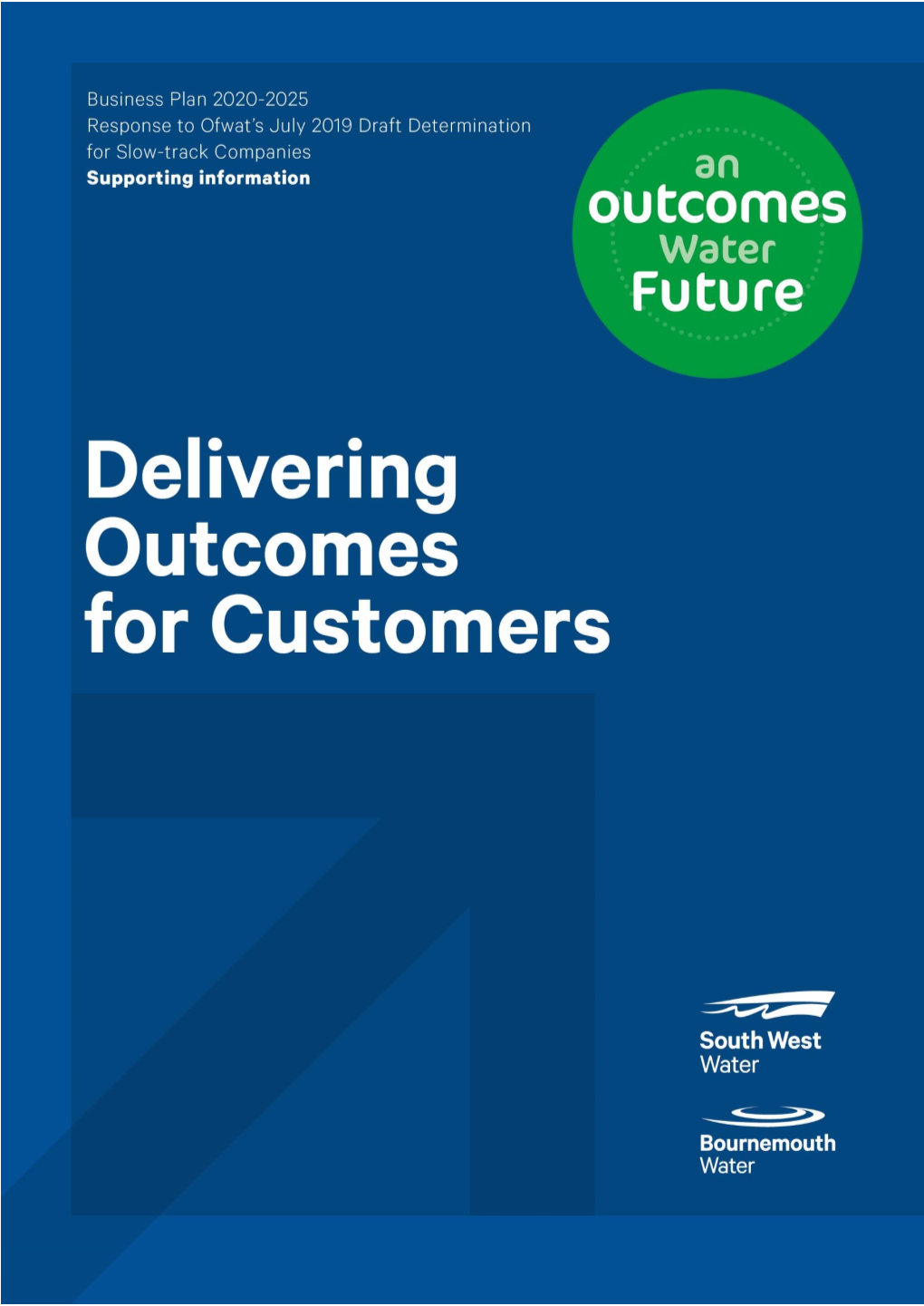 Delivering Outcomes for Customers Policy Appendix