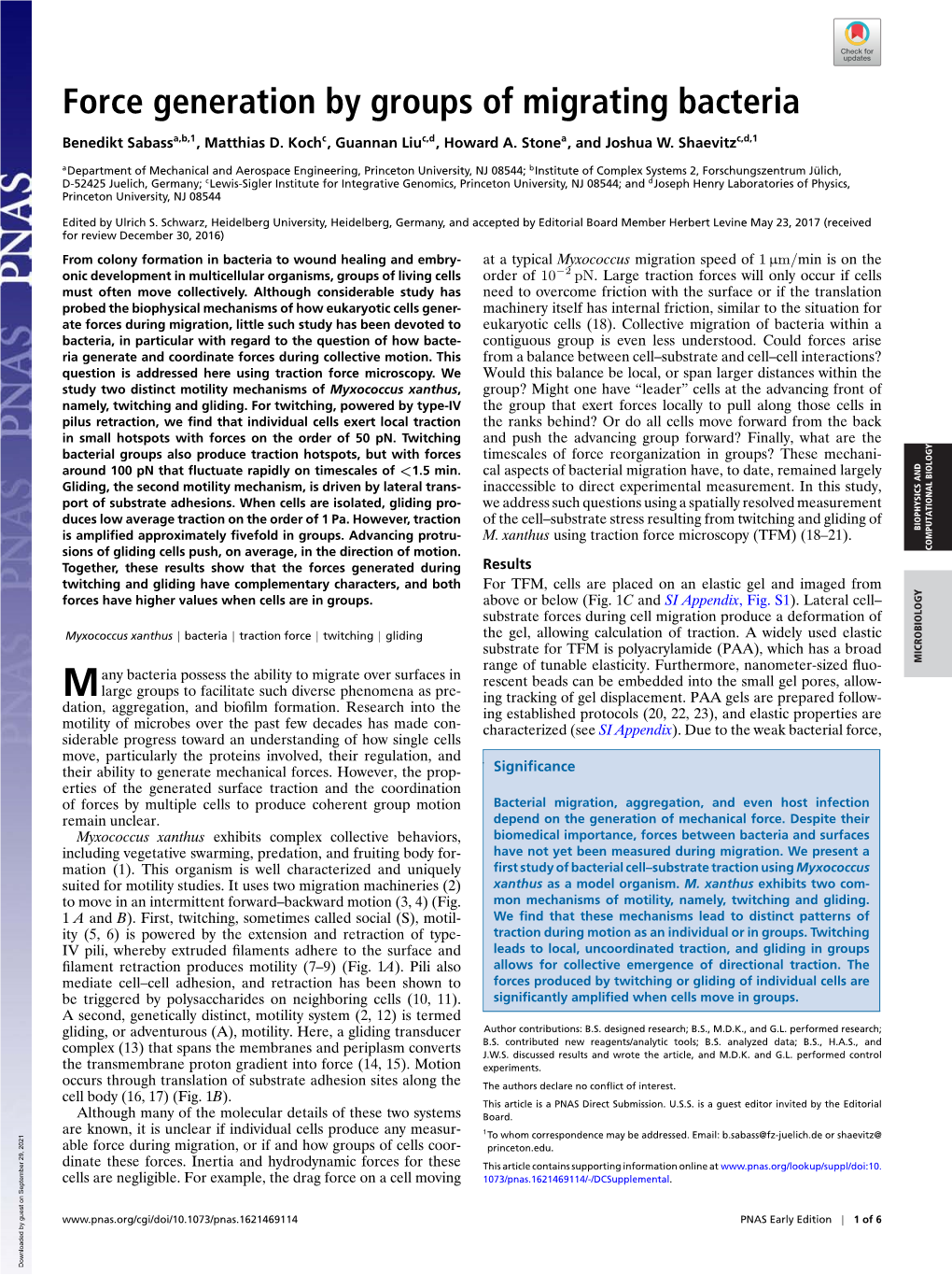 Force Generation by Groups of Migrating Bacteria