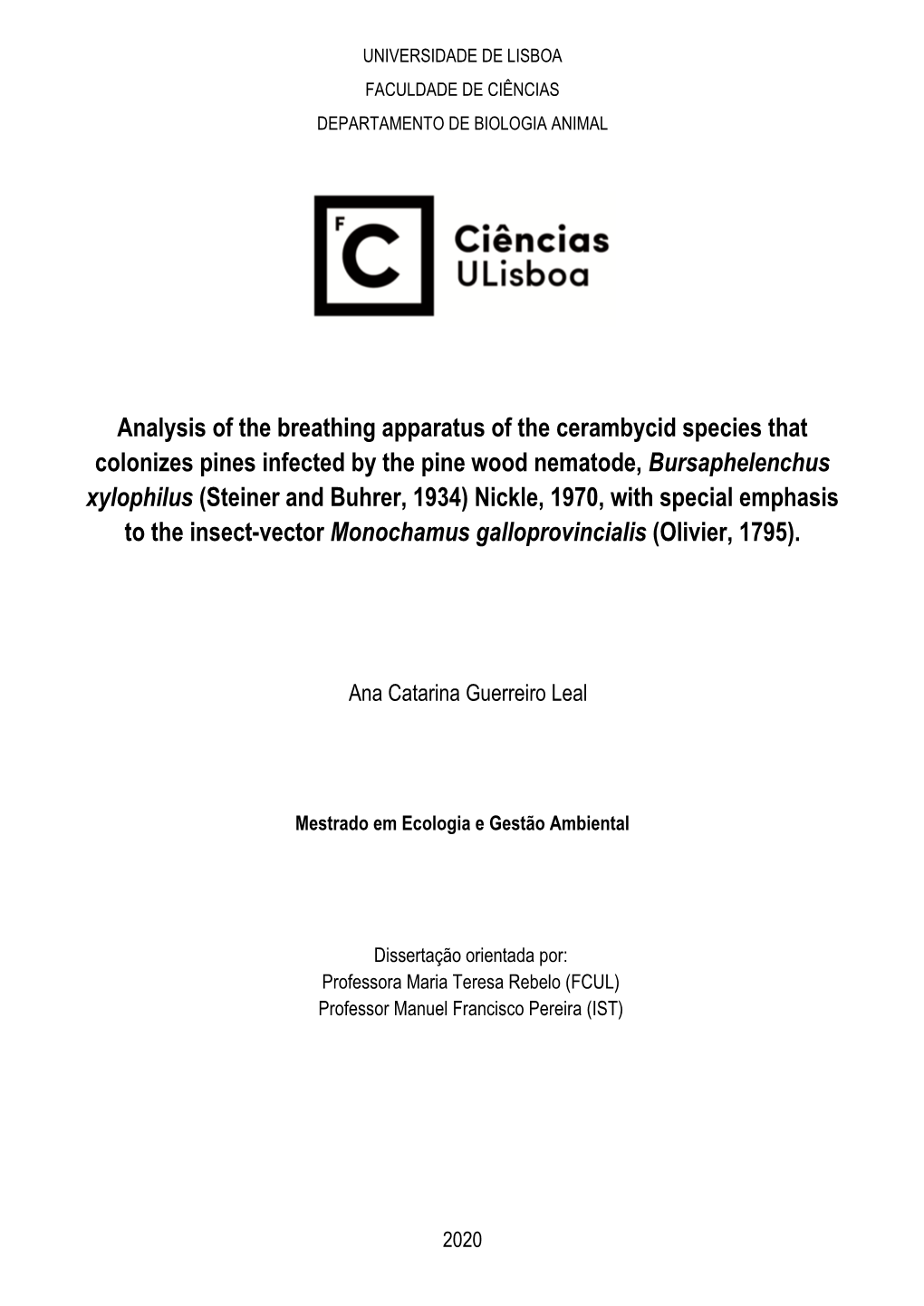 Analysis of the Breathing Apparatus of the Cerambycid Species That