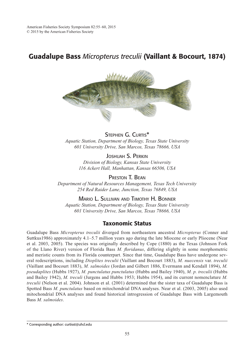 Guadalupe Bass Micropterus Treculii (Vaillant & Bocourt, 1874)