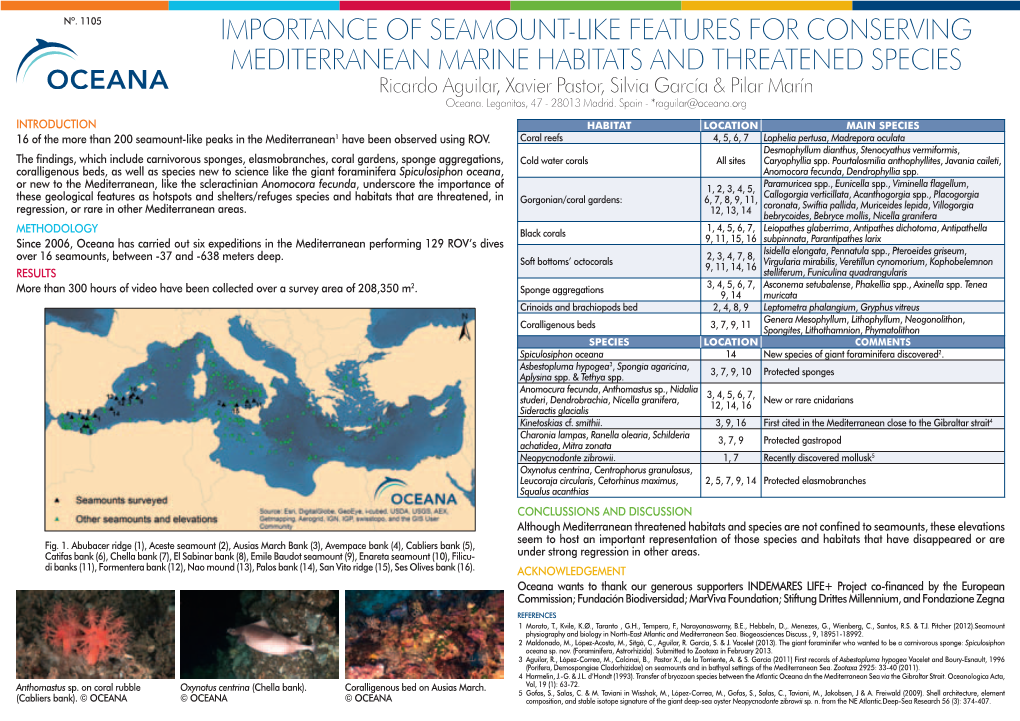 Importance of Seamount-Like Features for Conserving Mediterranean Marine Habitats and Threatened Species