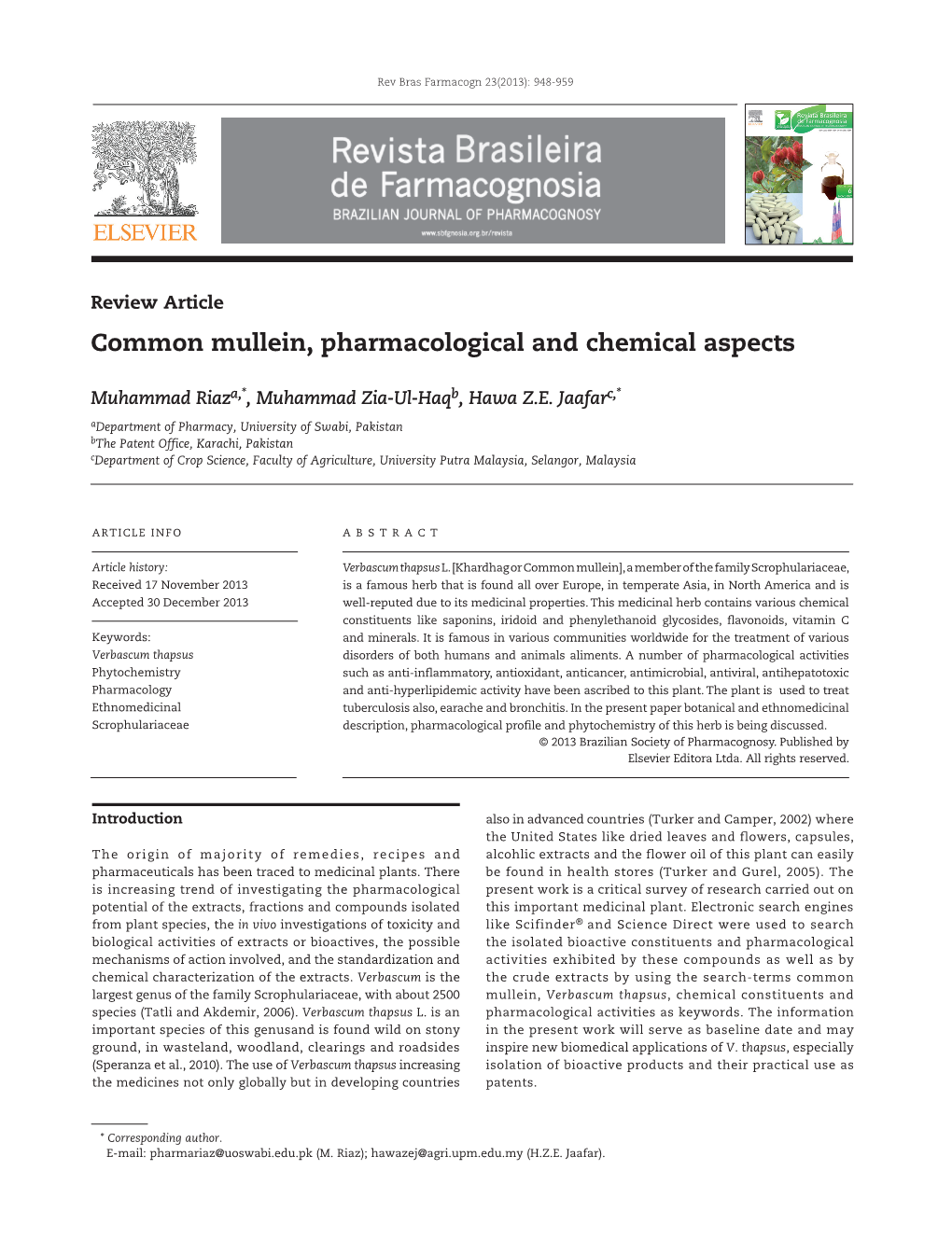 Common Mullein, Pharmacological and Chemical Aspects