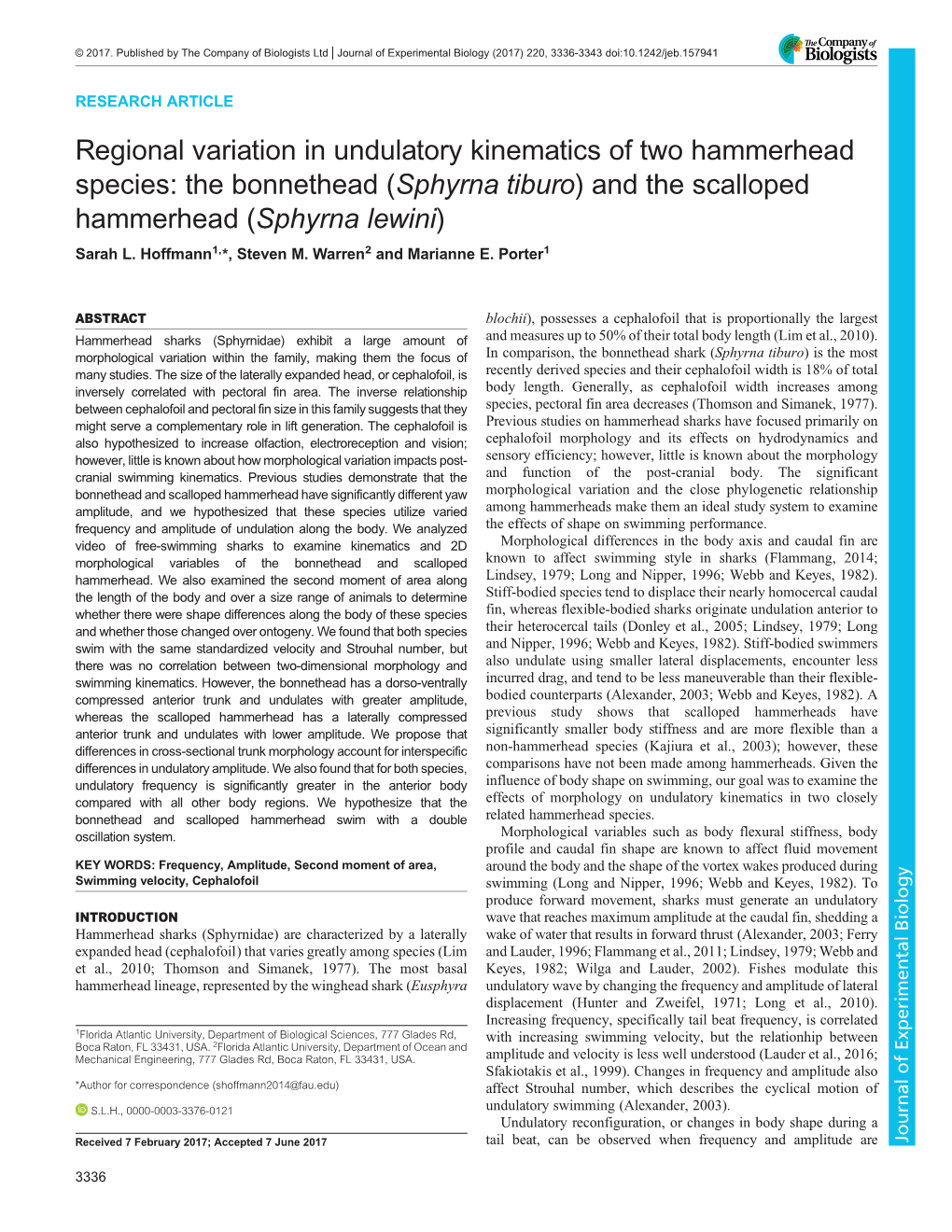 The Bonnethead (Sphyrna Tiburo) and the Scalloped Hammerhead (Sphyrna Lewini) Sarah L