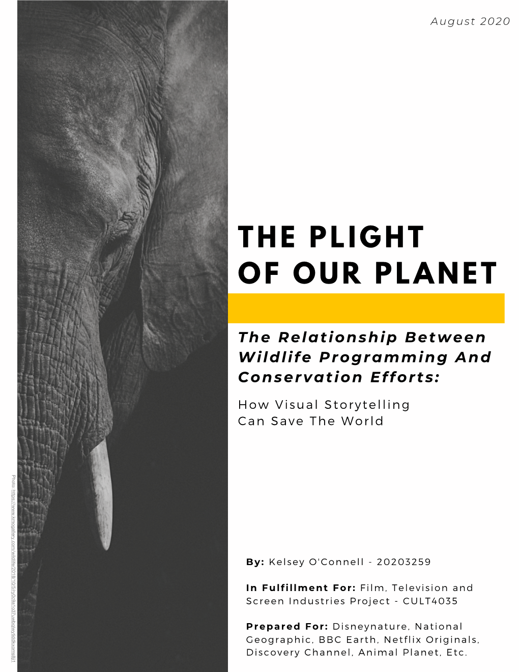 The Plight of Our Planet the Relationship Between Wildlife Programming and Conservation Efforts