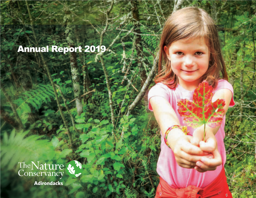 Annual Report 2019