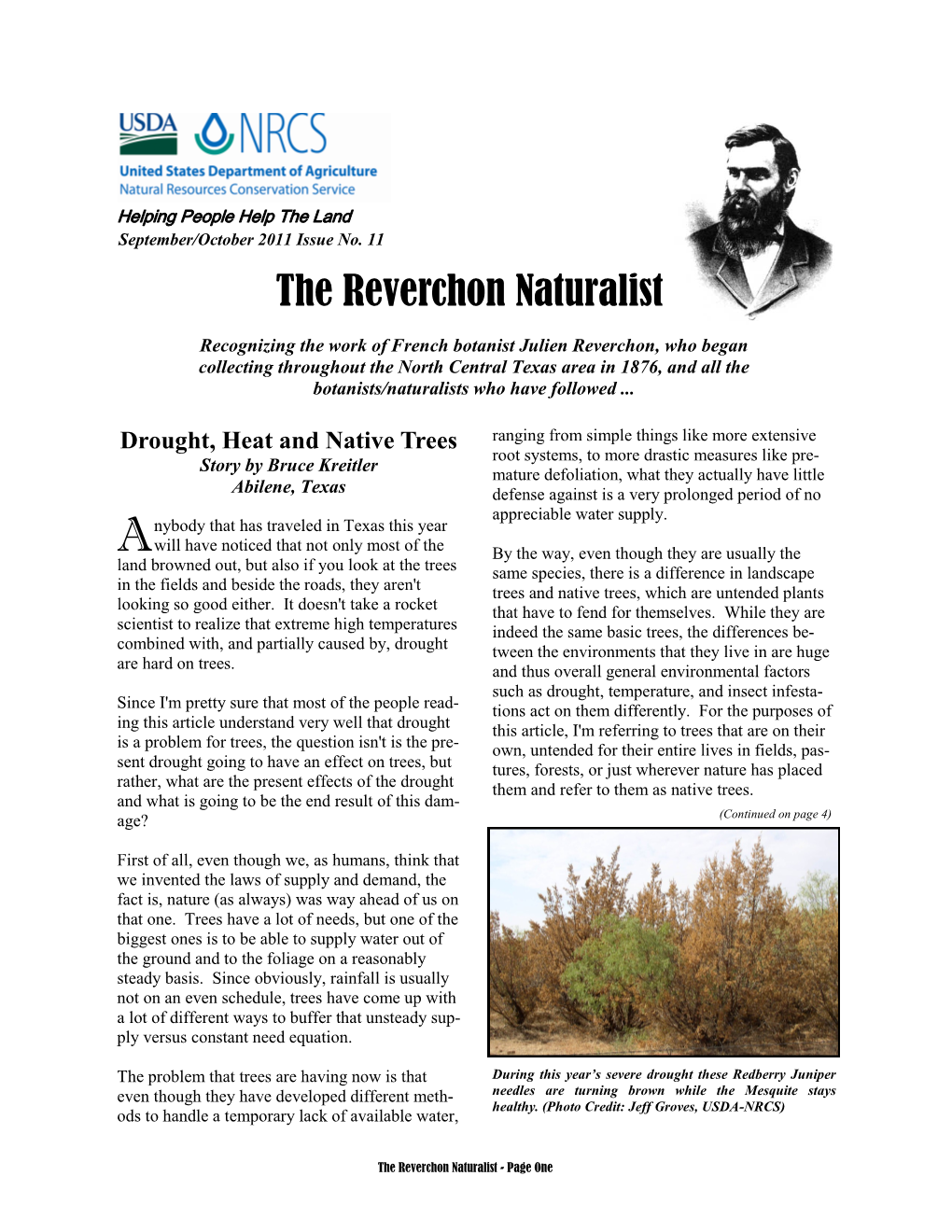 Illinois Bundleflower (Desmanthus Illinoensis) Story by Alan Shadow, Manager USDA-NRCS East Texas Plant Materials Center Nacogdoches, Texas