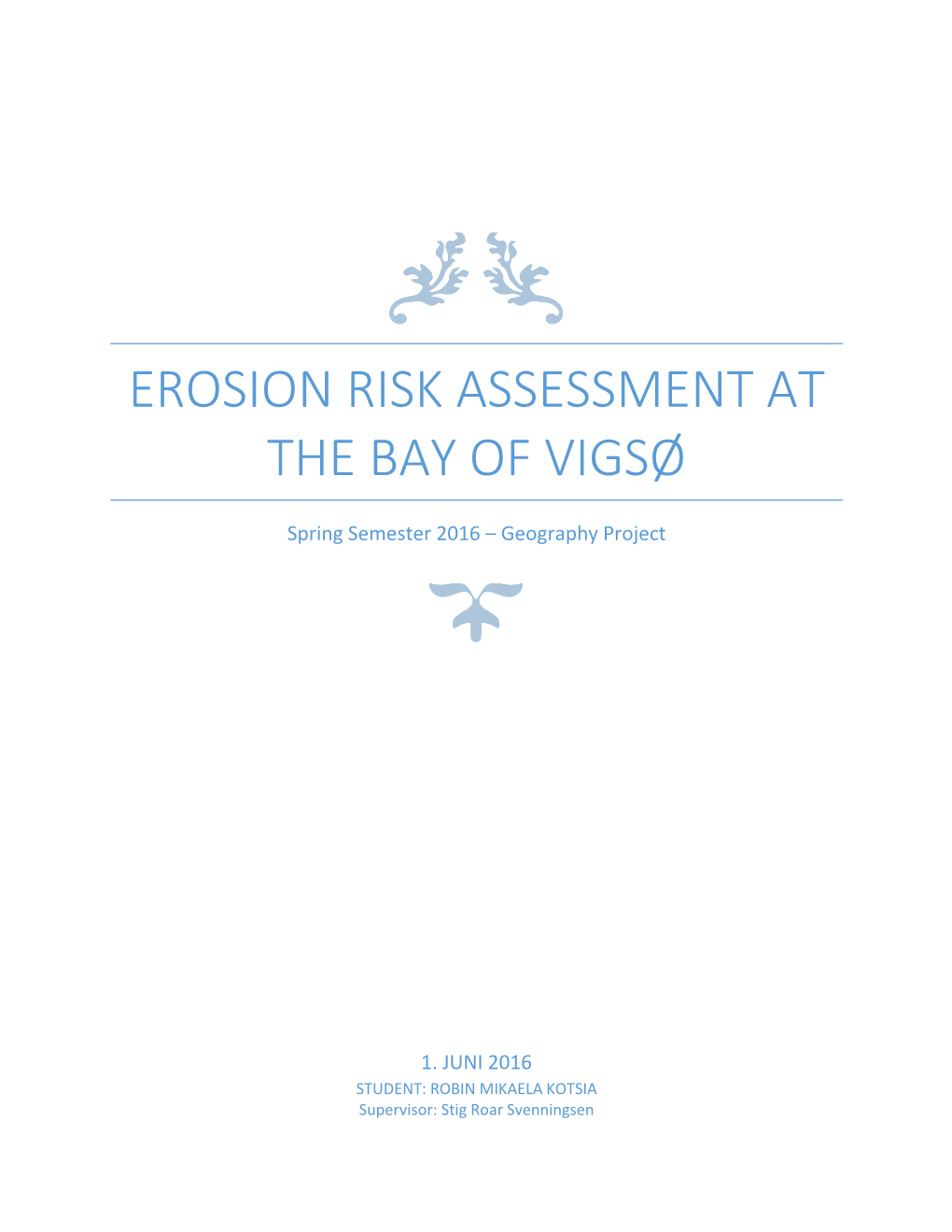 Erosion Risk Assessment at the Bay of Vigsø