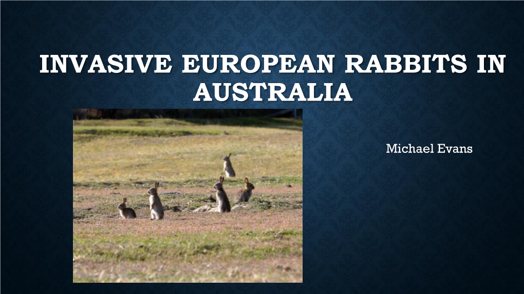 Invasive European Rabbits in Australia