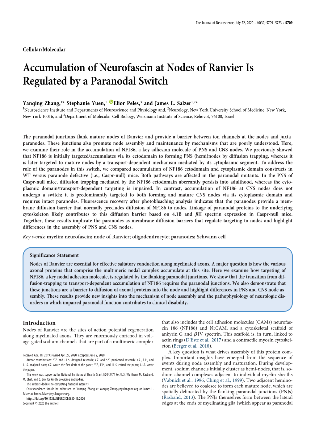 Accumulation of Neurofascin at Nodes of Ranvier Is Regulated by a Paranodal Switch