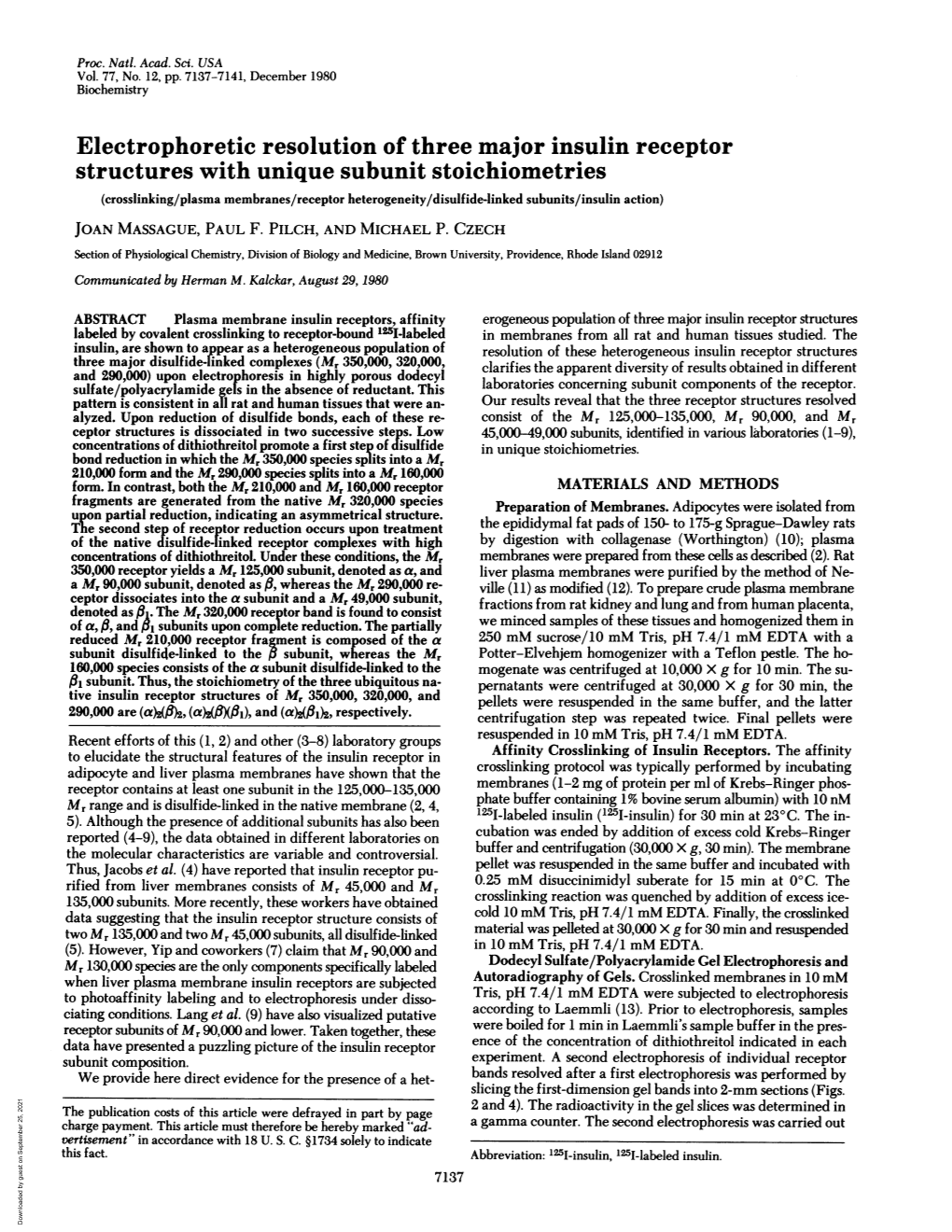 Electrophoretic Resolution of Three Major Insulin Receptor Structures