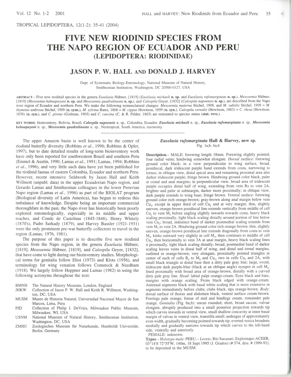 Five New Riodinid Species from the Napo Region of Ecuador and Peru (Lepidoptera: Riodinidae)