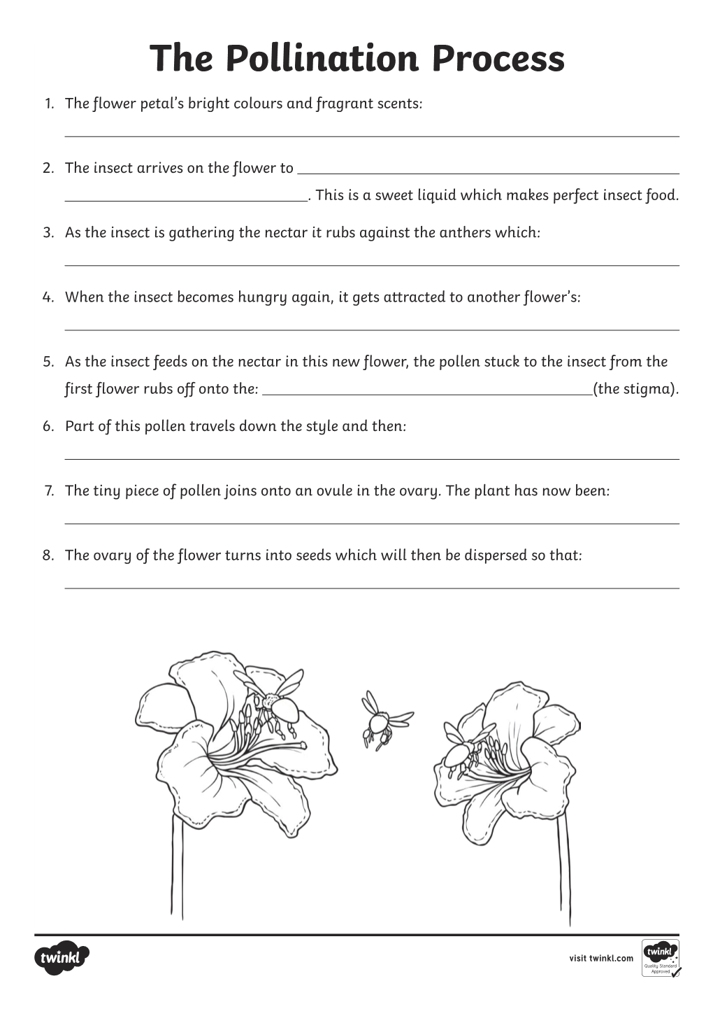 The Pollination Process 1