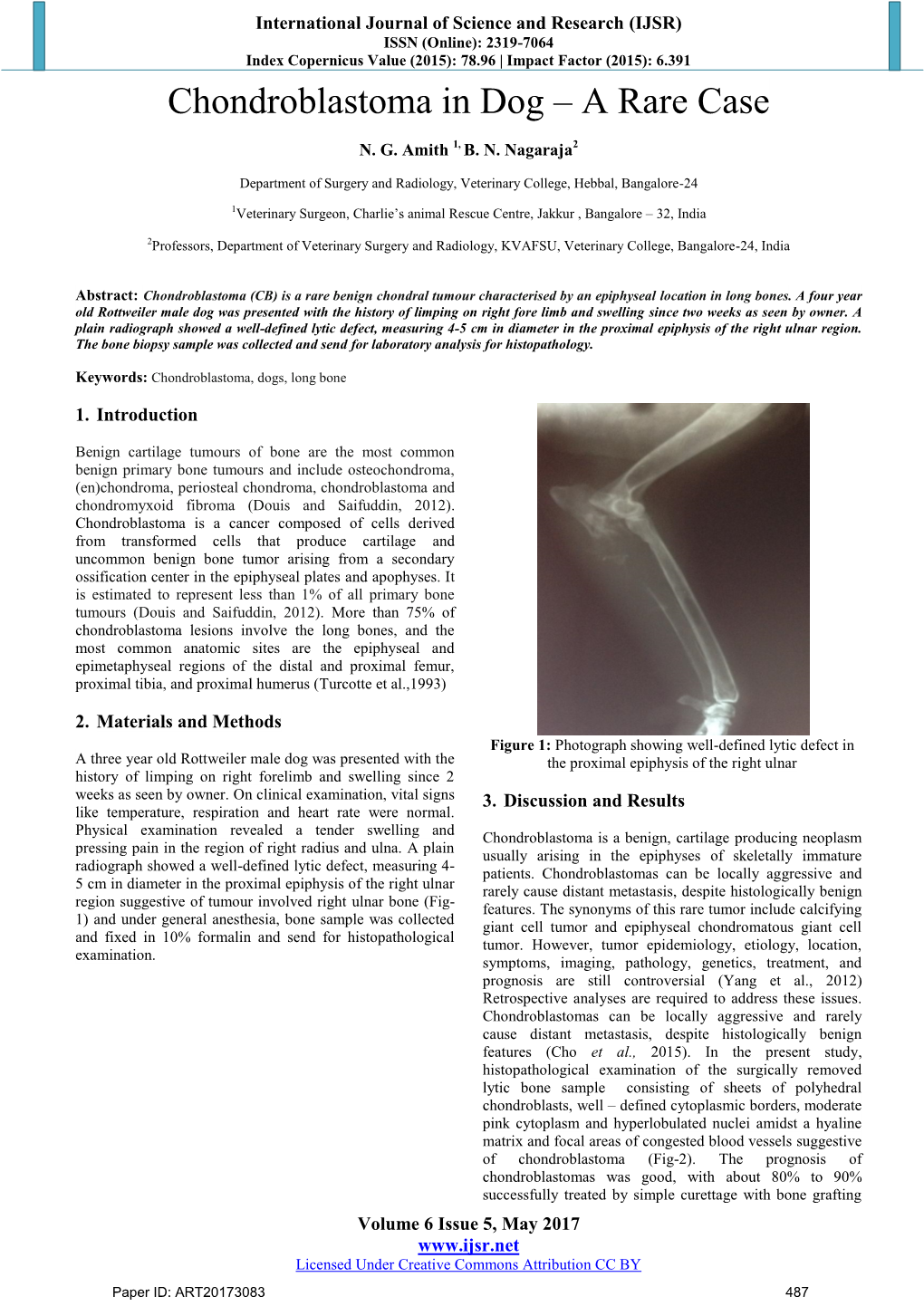 Chondroblastoma in Dog – a Rare Case