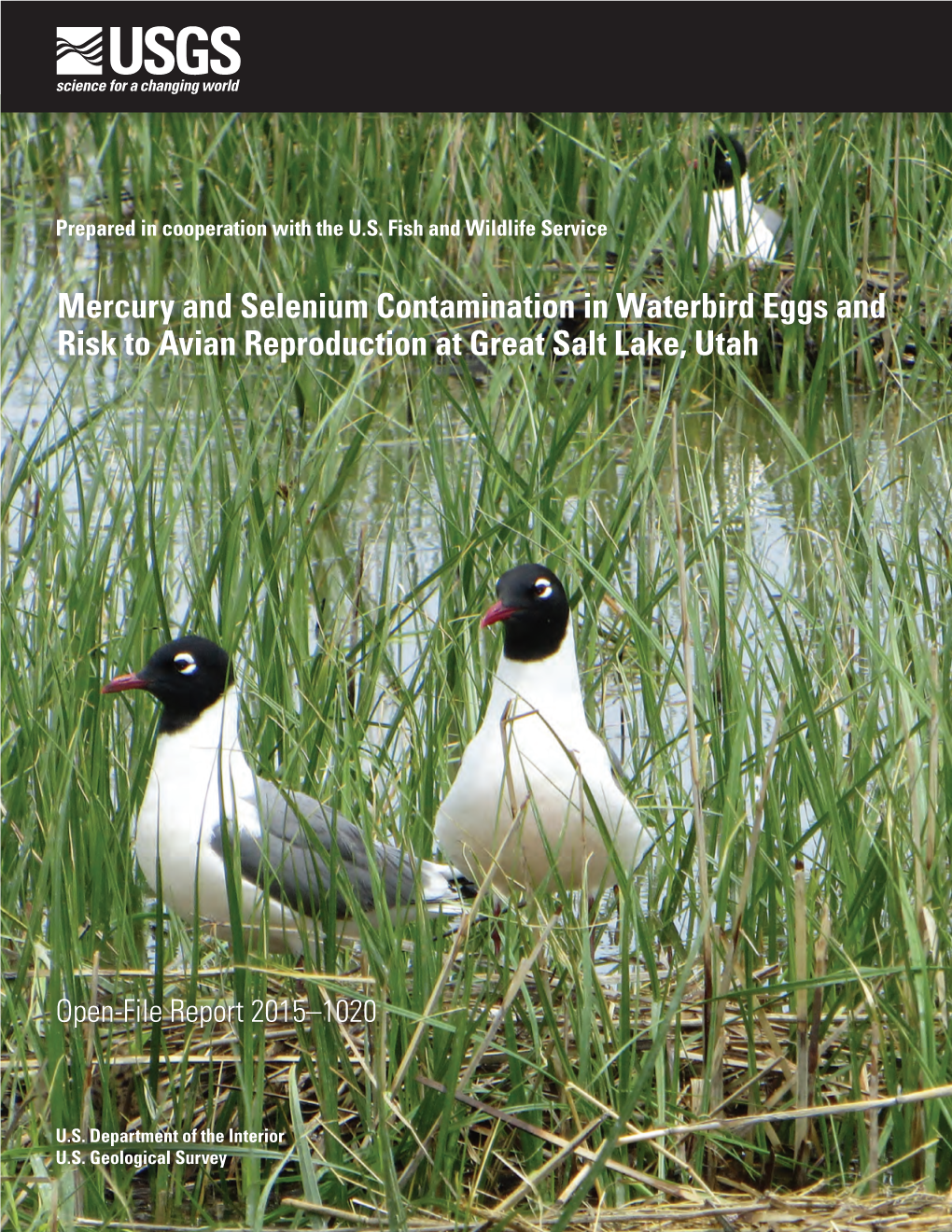 Mercury and Selenium Contamination in Waterbird Eggs and Risk to Avian Reproduction at Great Salt Lake, Utah