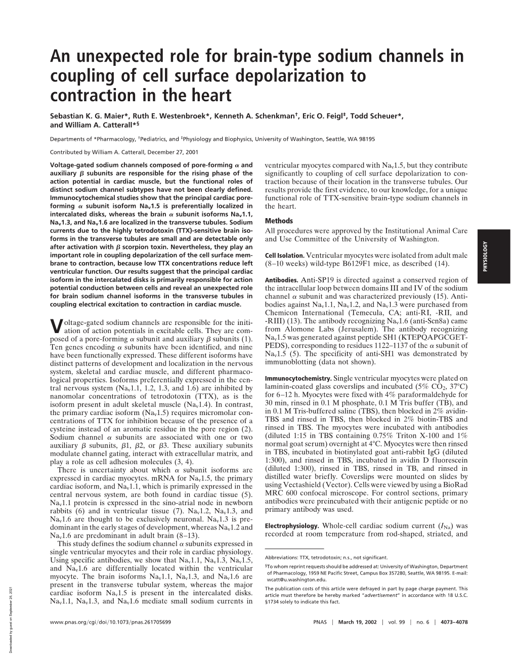 An Unexpected Role for Brain-Type Sodium Channels in Coupling of Cell Surface Depolarization to Contraction in the Heart