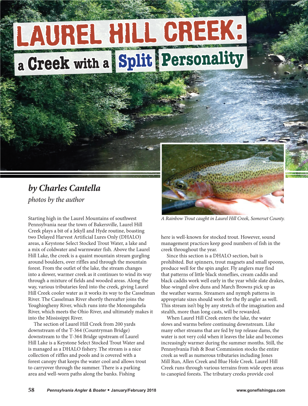LAUREL HILL CREEK: a Creek with a Split Personality