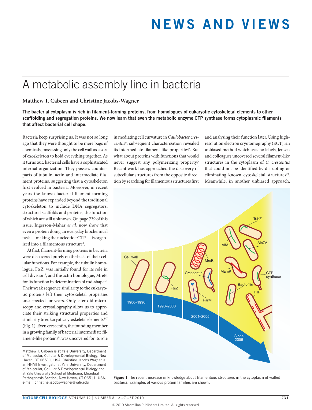 A Metabolic Assembly Line in Bacteria
