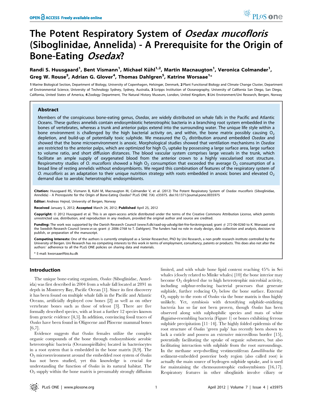 The Potent Respiratory System of Osedax Mucofloris (Siboglinidae, Annelida) - a Prerequisite for the Origin of Bone-Eating Osedax?