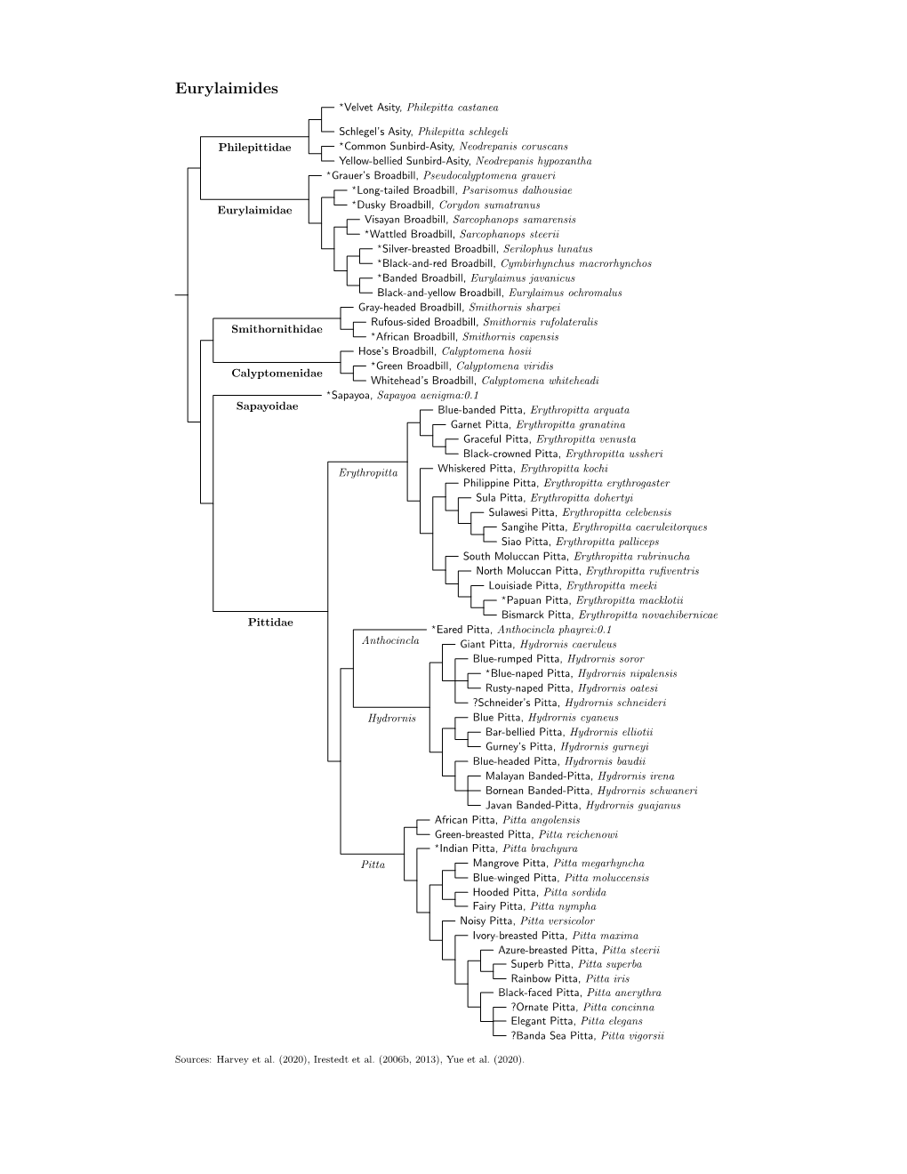 Eurylaimides Species Tree