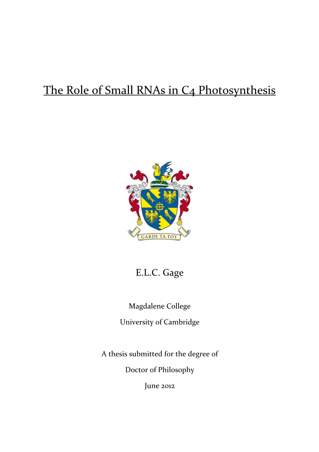 The Role of Small Rnas in C4 Photosynthesis