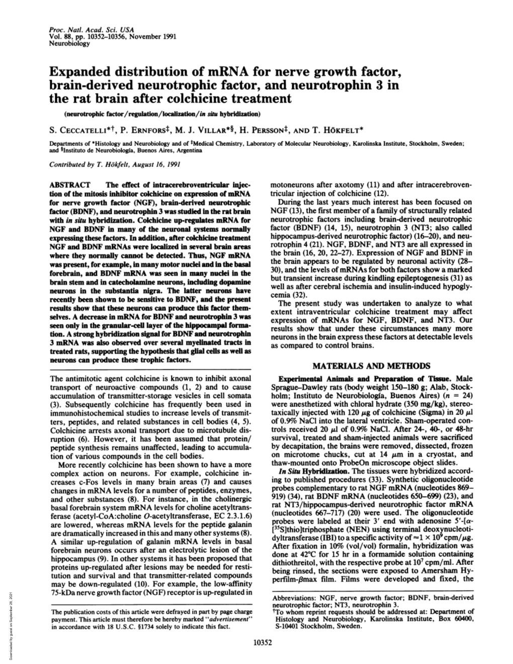 Brain-Derived Neurotrophic Factor, and Neurotrophin 3 in the Rat