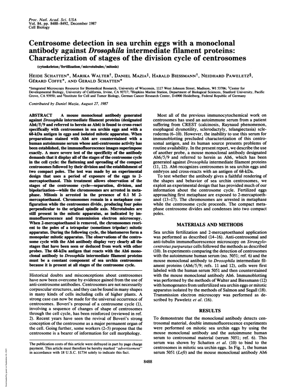 Centrosome Detection in Sea Urchin Eggs with a Monoclonal