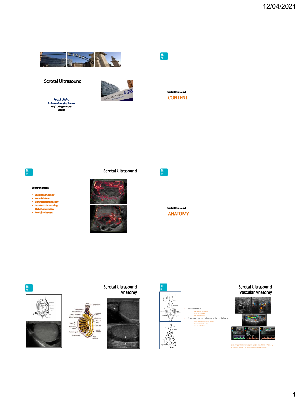 Scrotal Ultrasound CONTENT ANATOMY