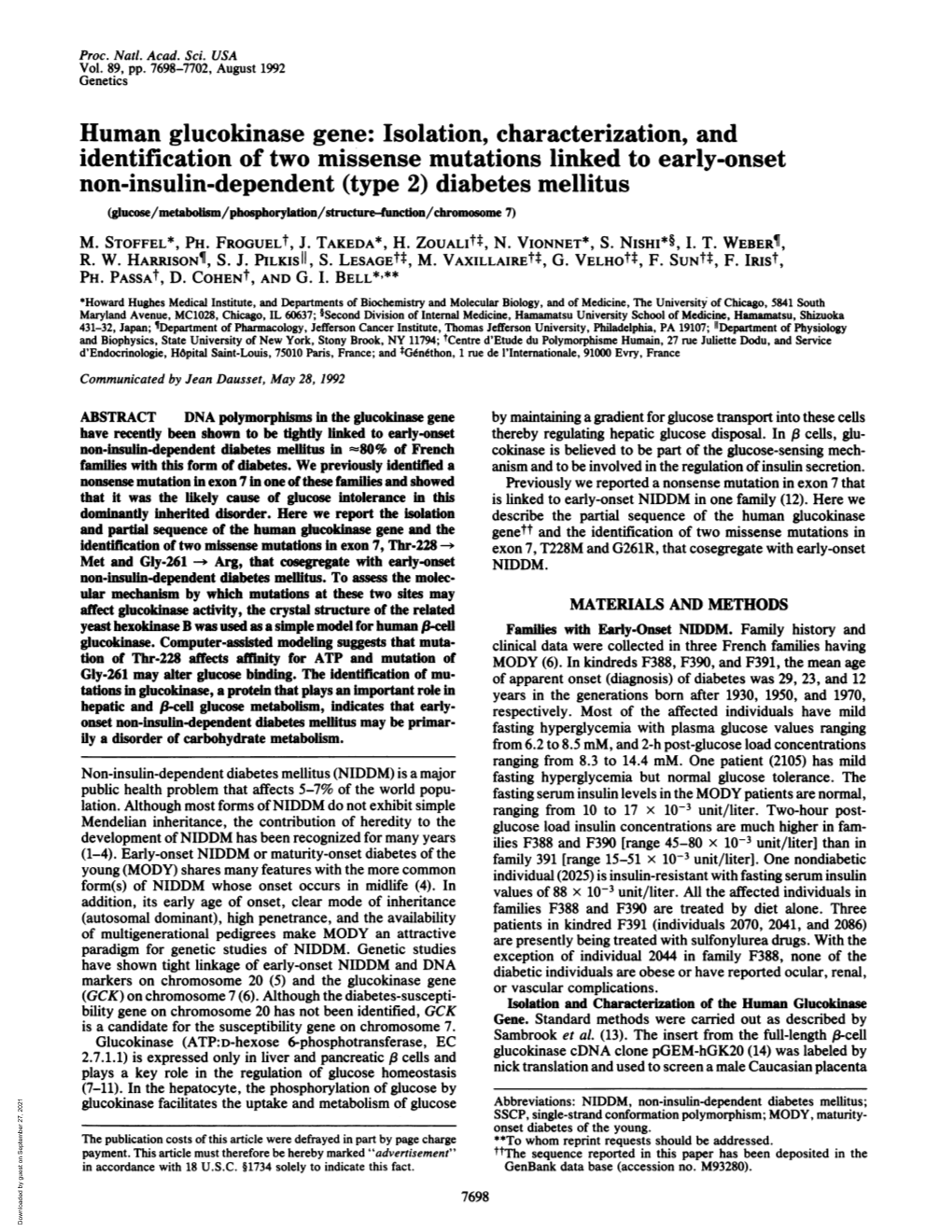 Human Glucokinase Gene