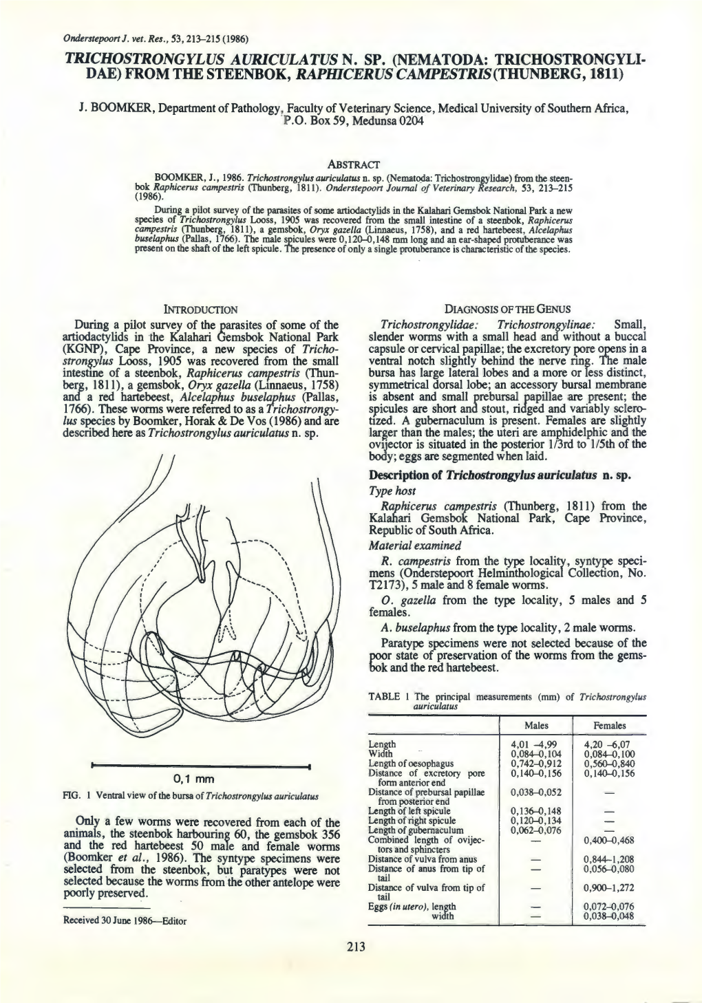 Trichostrongylus Auriculatus N. Sp. (Nematoda: Trichostrongyli- Dae) from the Steenbok, Rapwcerus Campestris(Thunberg, 1811)