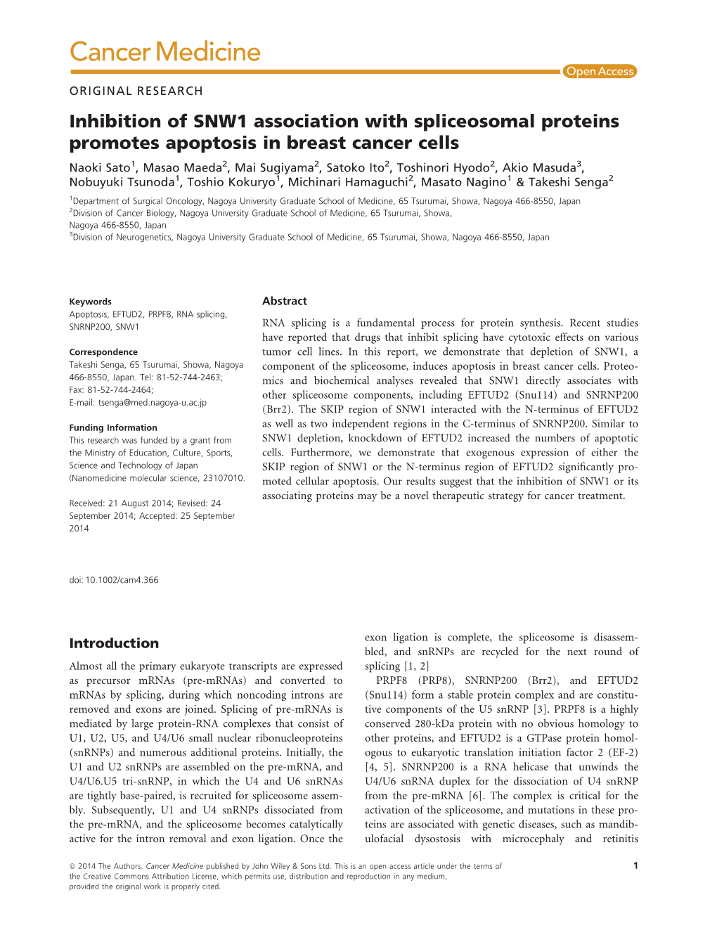 Inhibition of SNW1 Association with Spliceosomal Proteins Promotes