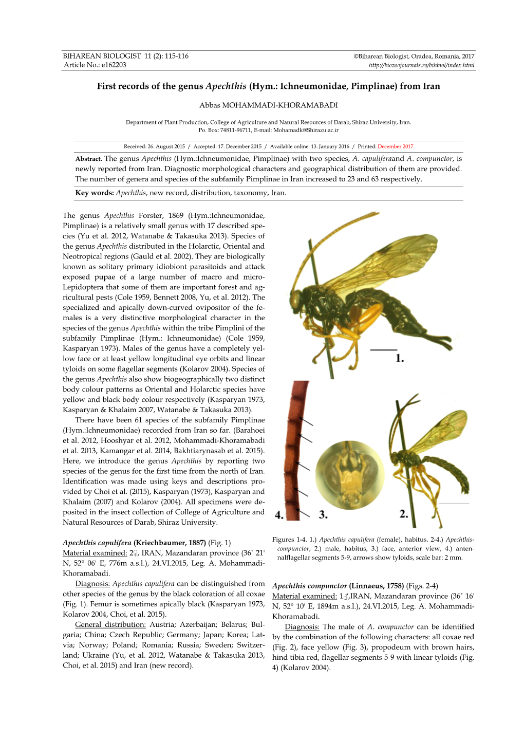 (Hym.: Ichneumonidae, Pimplinae) from Iran