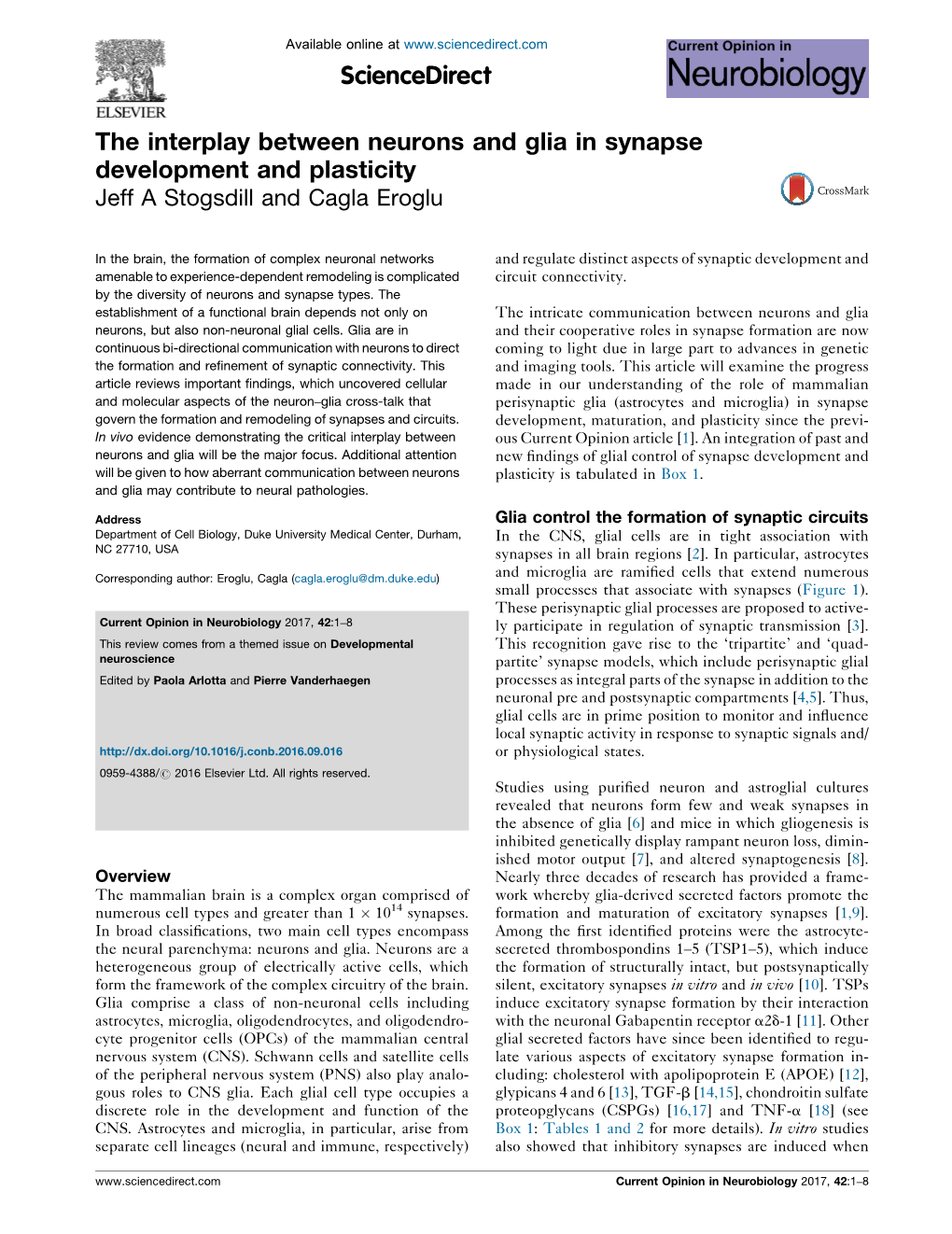 The Interplay Between Neurons and Glia in Synapse Development And