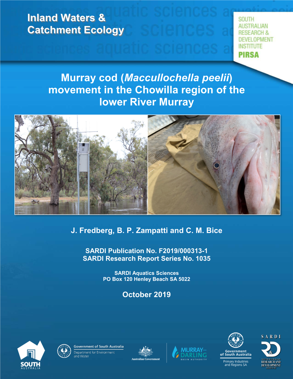 Murray Cod (Maccullochella Peelii) Movement in the Chowilla Region of the Lower River Murray