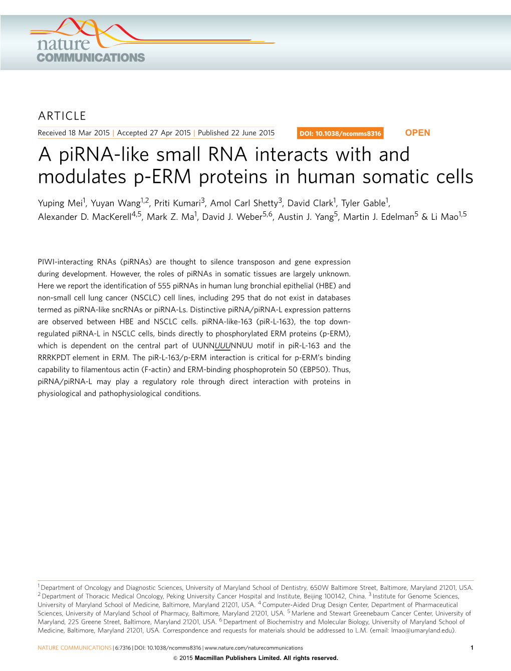 A Pirna-Like Small RNA Interacts with and Modulates P-ERM Proteins in Human Somatic Cells