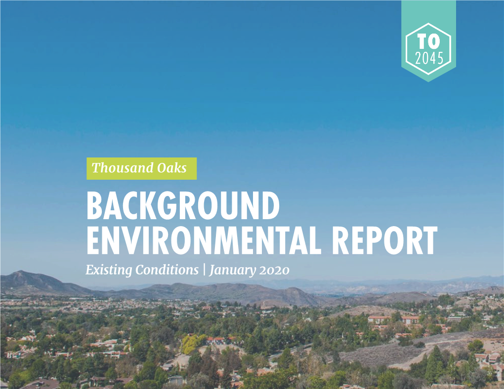 BACKGROUND ENVIRONMENTAL REPORT Existing Conditions | January 2020