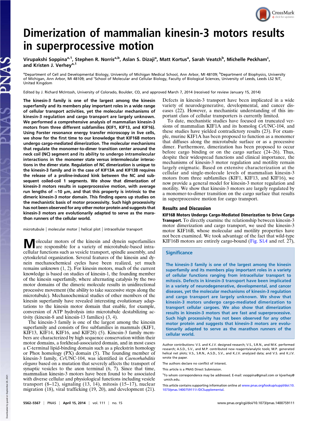 Dimerization of Mammalian Kinesin-3 Motors Results in Superprocessive Motion