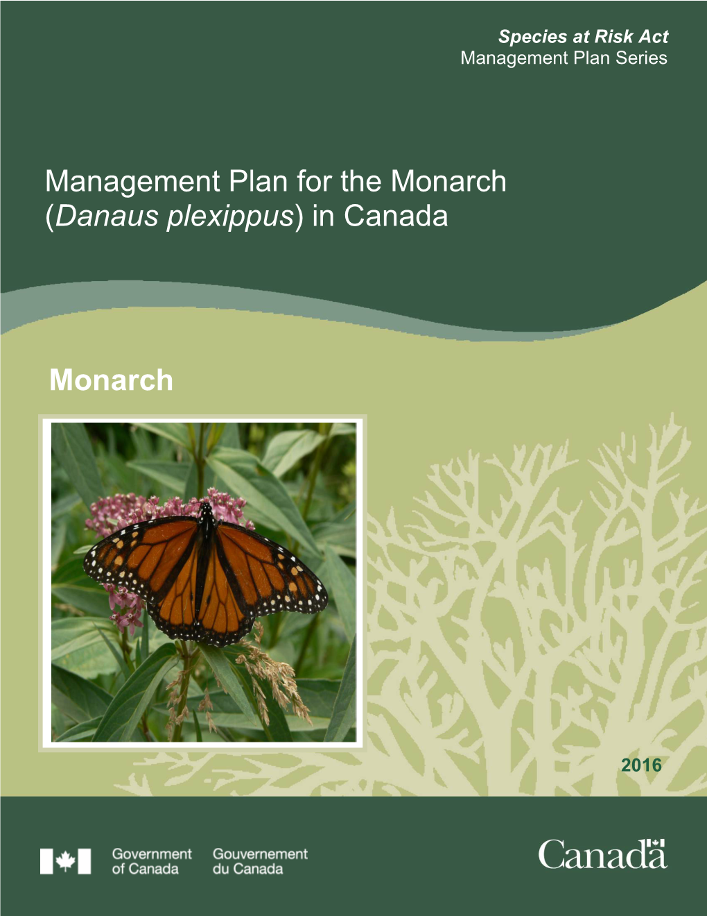 Monarch (Danaus Plexippus) in Canada