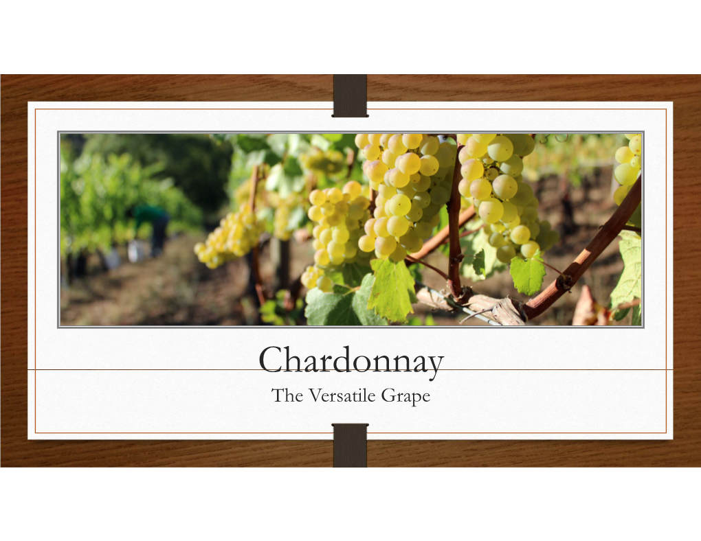 Chardonnay the Versatile Grape Chardonnay History