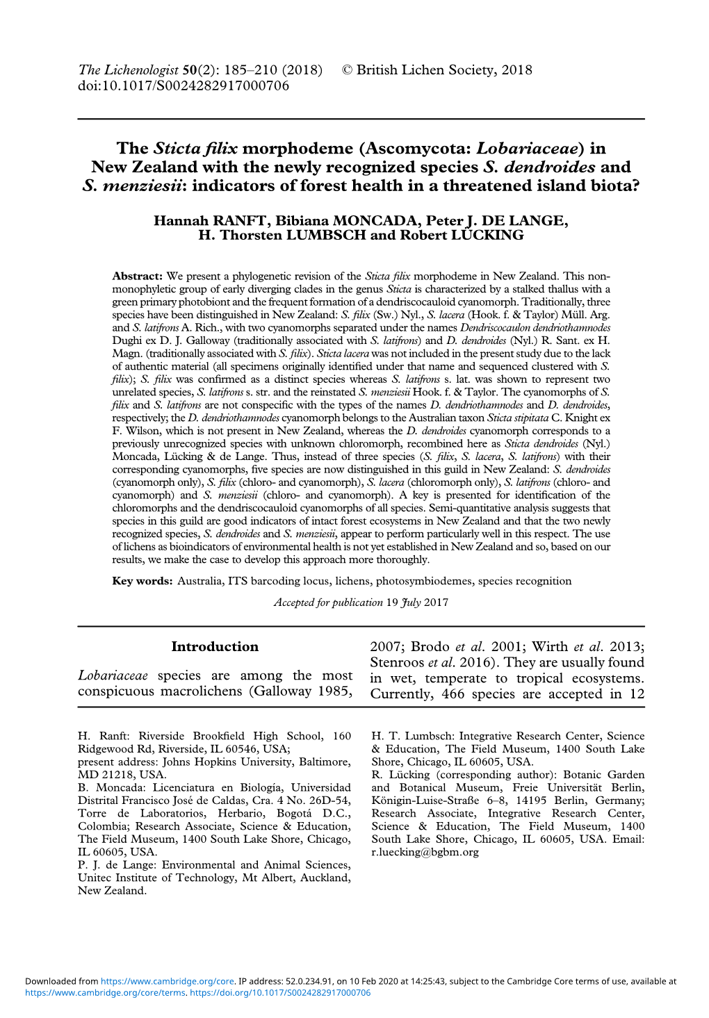 The Sticta Filix Morphodeme (Ascomycota: Lobariaceae) in New