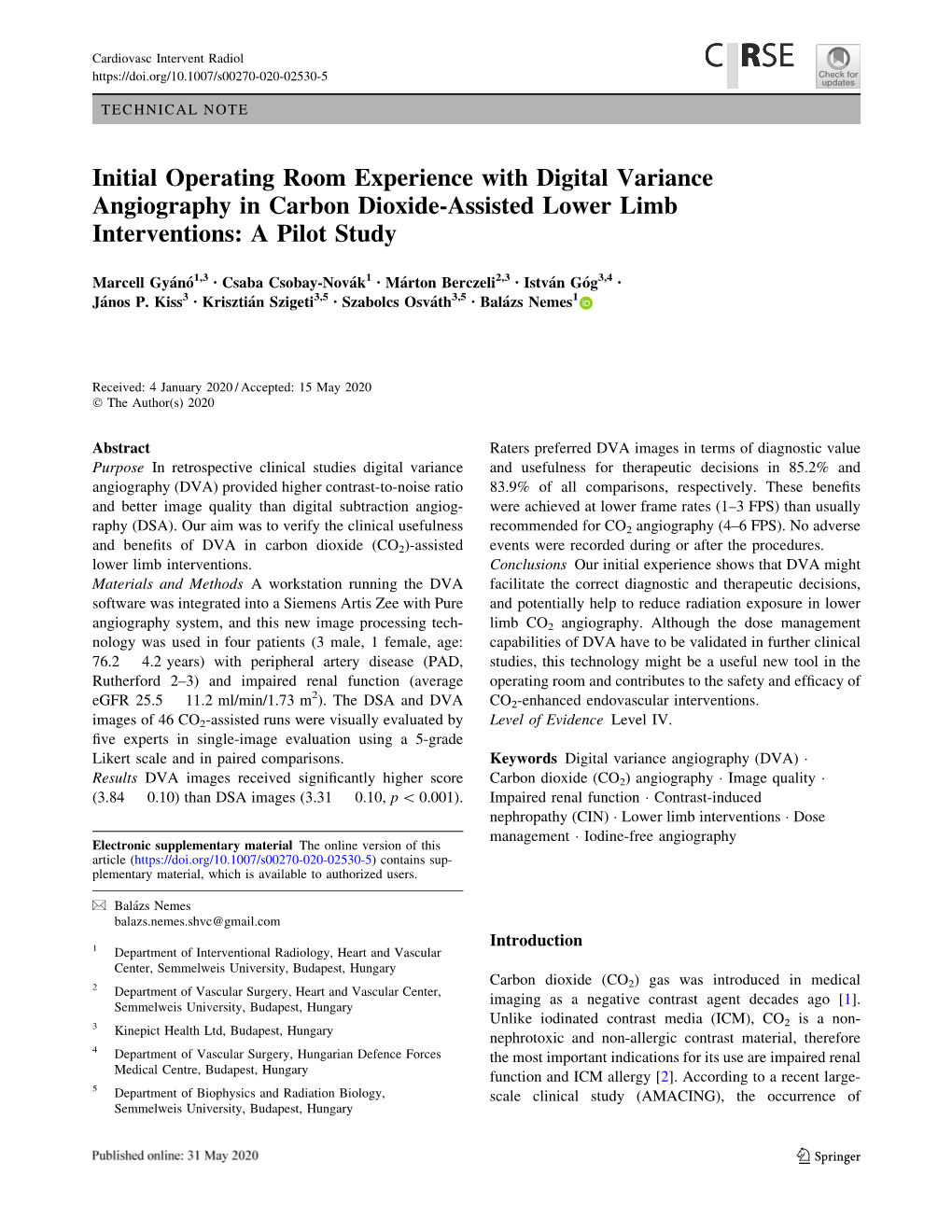 Initial Operating Room Experience with Digital Variance Angiography in Carbon Dioxide-Assisted Lower Limb Interventions: a Pilot Study
