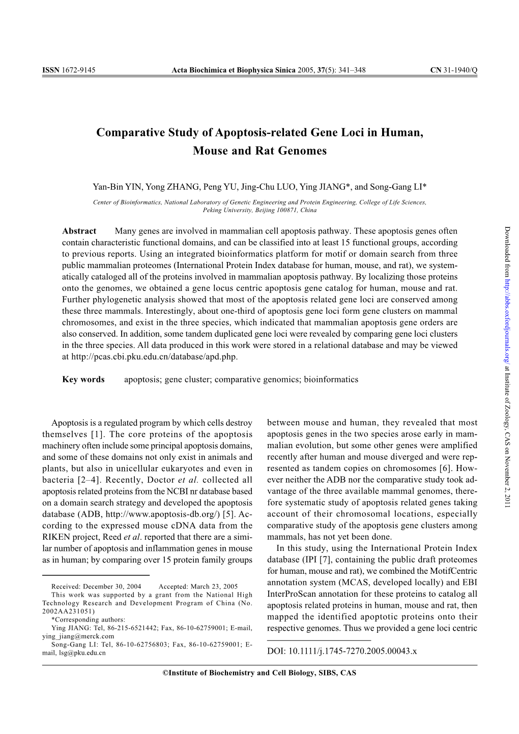 Comparative Study of Apoptosis-Related Gene Loci in Human, Mouse and Rat Genomes